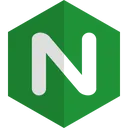 Nginx 